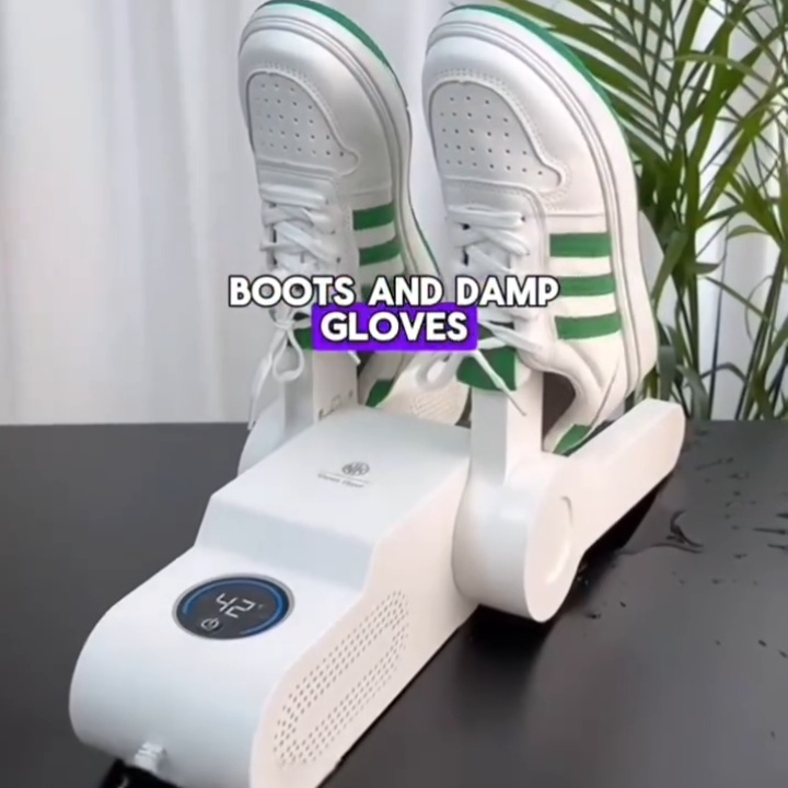 Shoe dryer